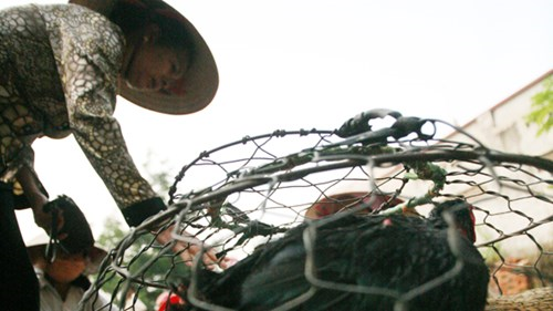 Thực phẩm quê lên ngôi