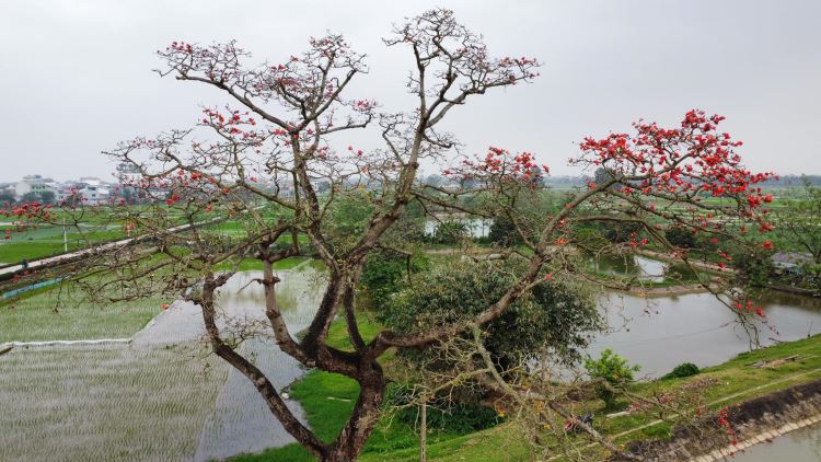 434177748_7539573572752723_2612785726983901516_n