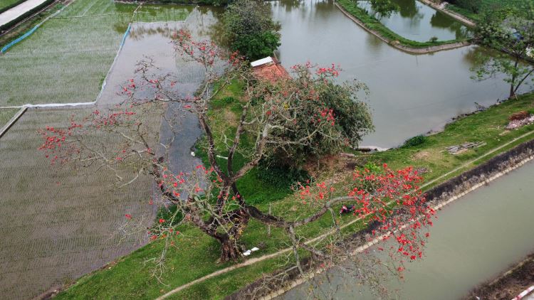 434199752_7539573642752716_4716573868787800851_n